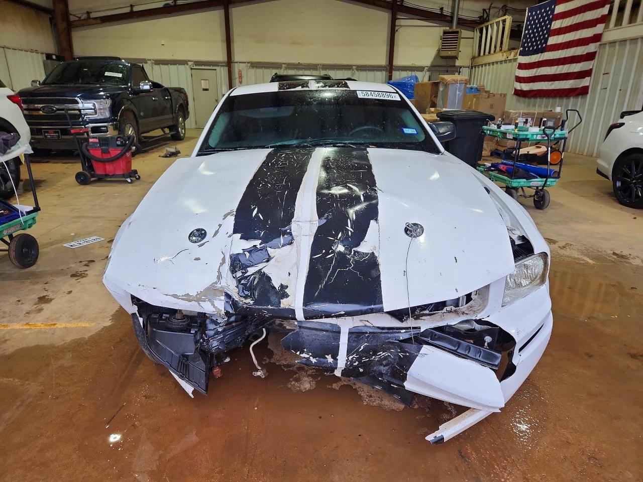 2009 Ford Mustang White vin: 1ZVHT80N795110898