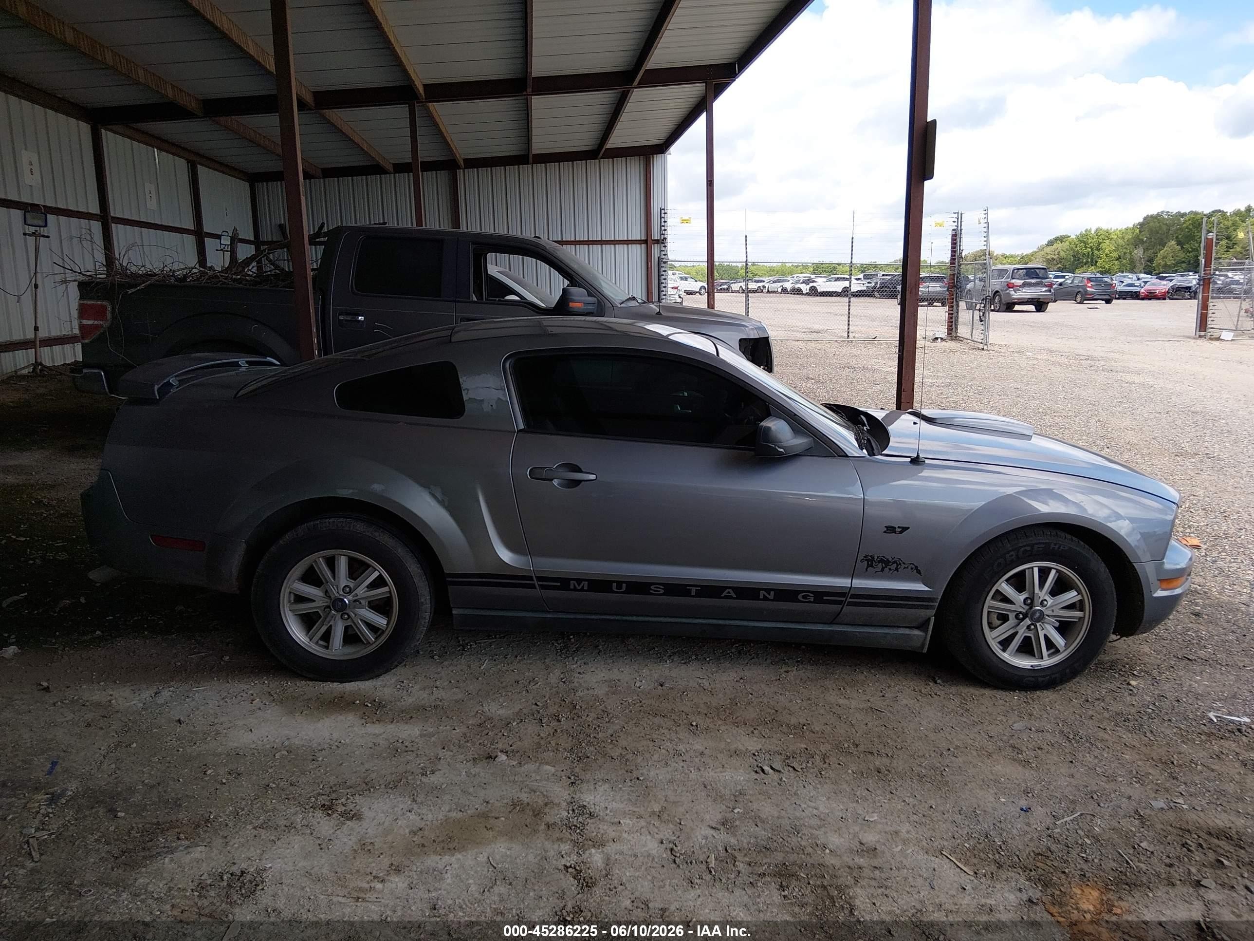 2006 Ford Mustang V6 Gray vin: 1ZVHT80N865196878