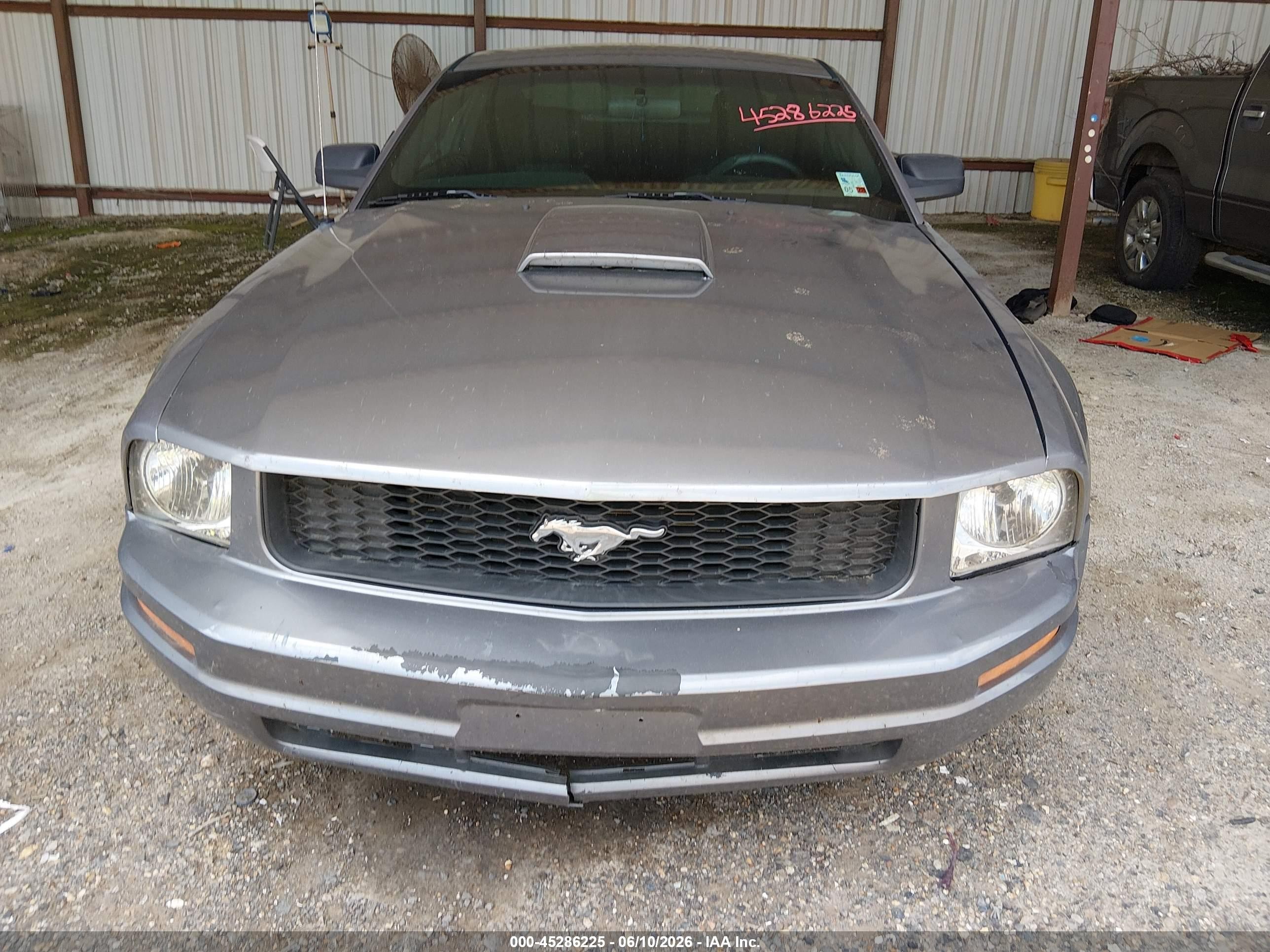 2006 Ford Mustang V6 Gray vin: 1ZVHT80N865196878
