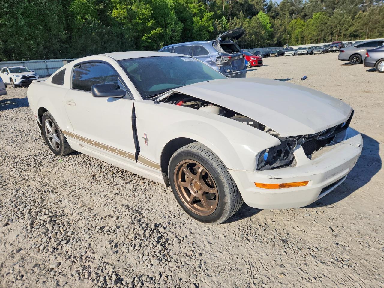 2008 Ford Mustang Белый vin: 1ZVHT80N885130849