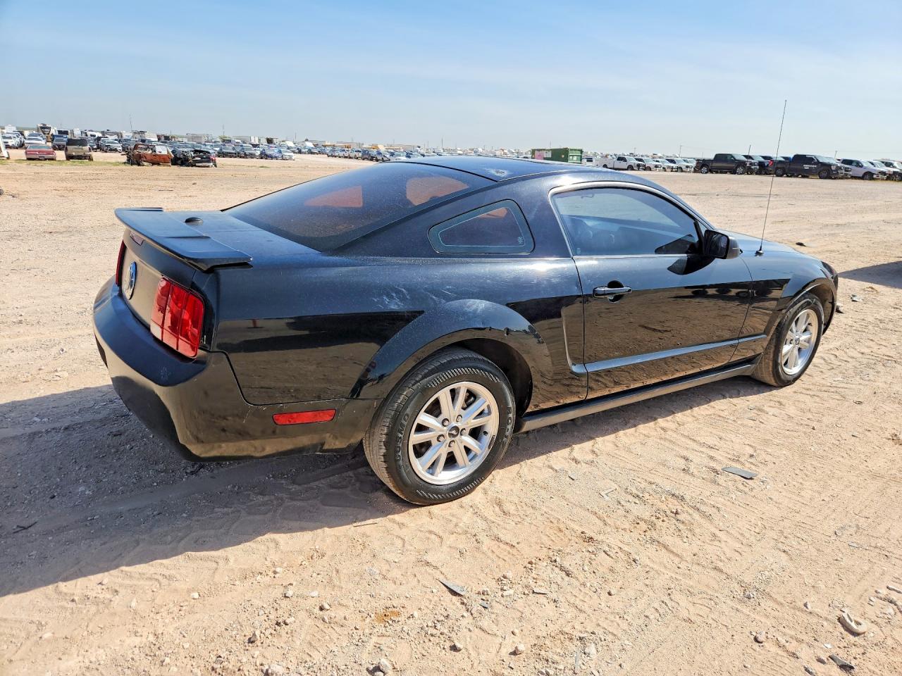 2008 Ford Mustang Black vin: 1ZVHT80N885132505