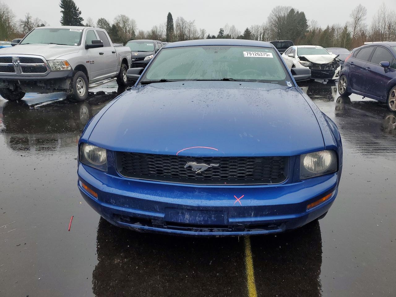 2008 Ford Mustang Синий vin: 1ZVHT80N885154939