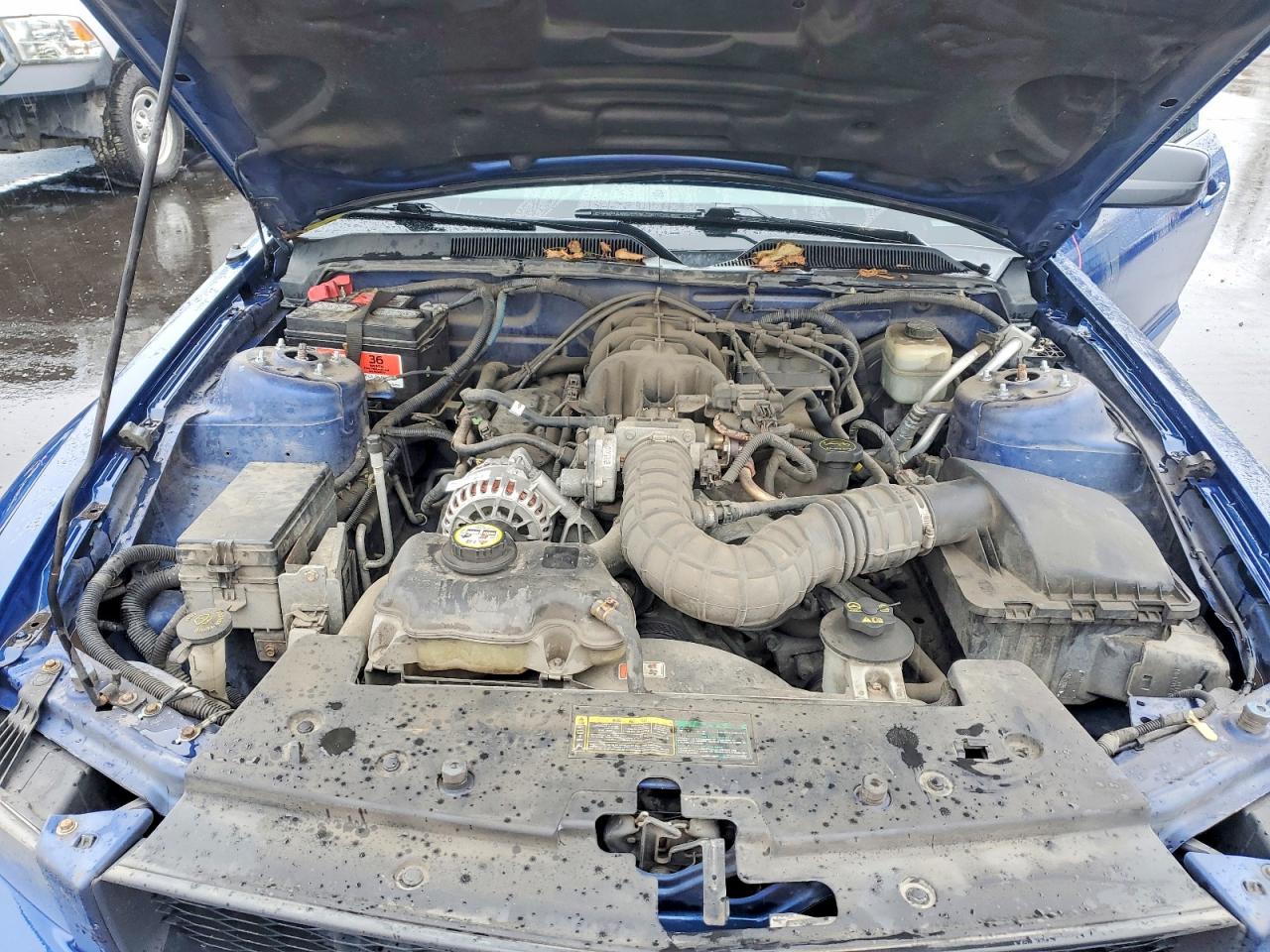 2008 Ford Mustang Синий vin: 1ZVHT80N885154939
