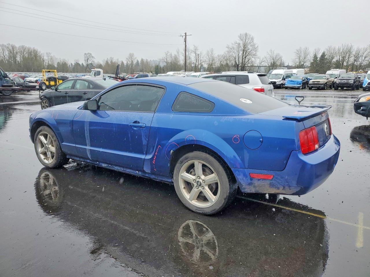 2008 Ford Mustang Синий vin: 1ZVHT80N885154939
