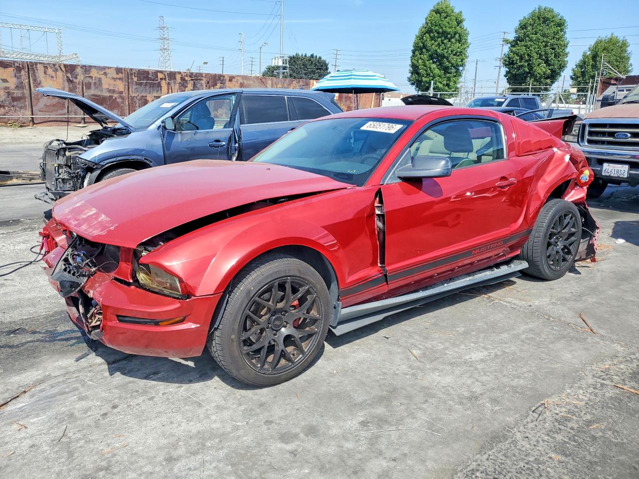 2008 Ford Mustang Red vin: 1ZVHT80N885196544