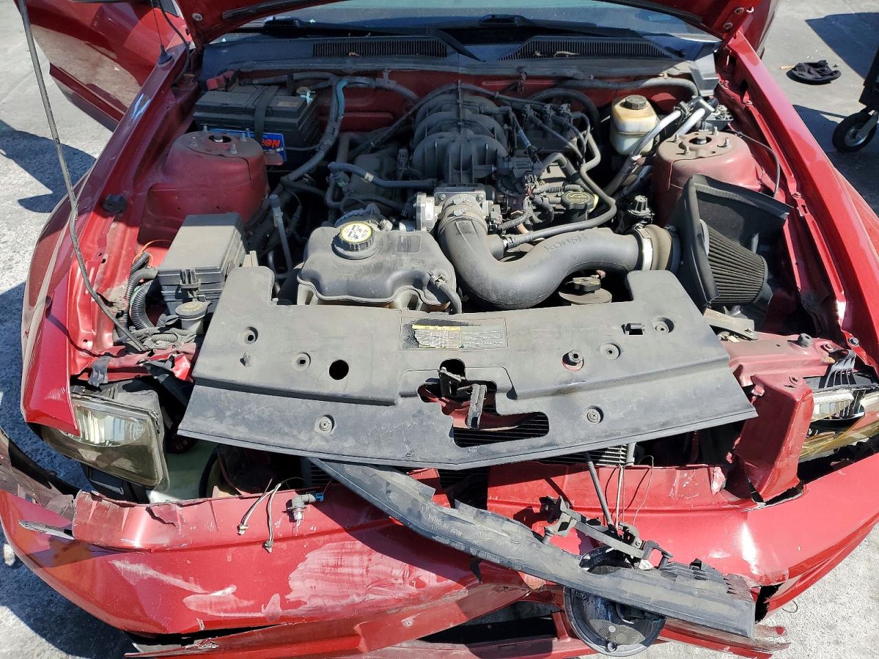 2008 Ford Mustang Red vin: 1ZVHT80N885196544