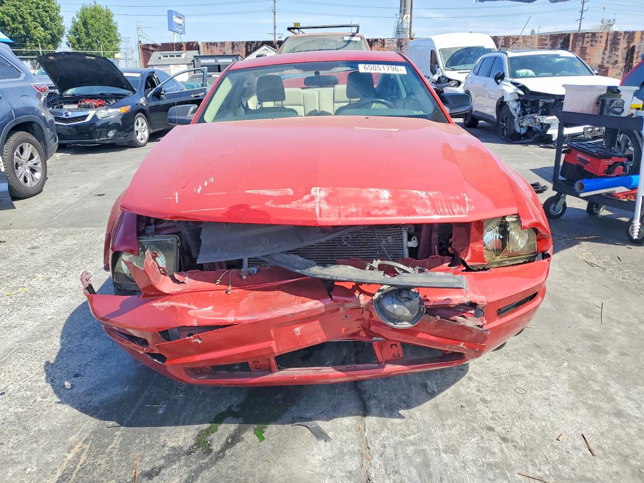 2008 Ford Mustang Red vin: 1ZVHT80N885196544