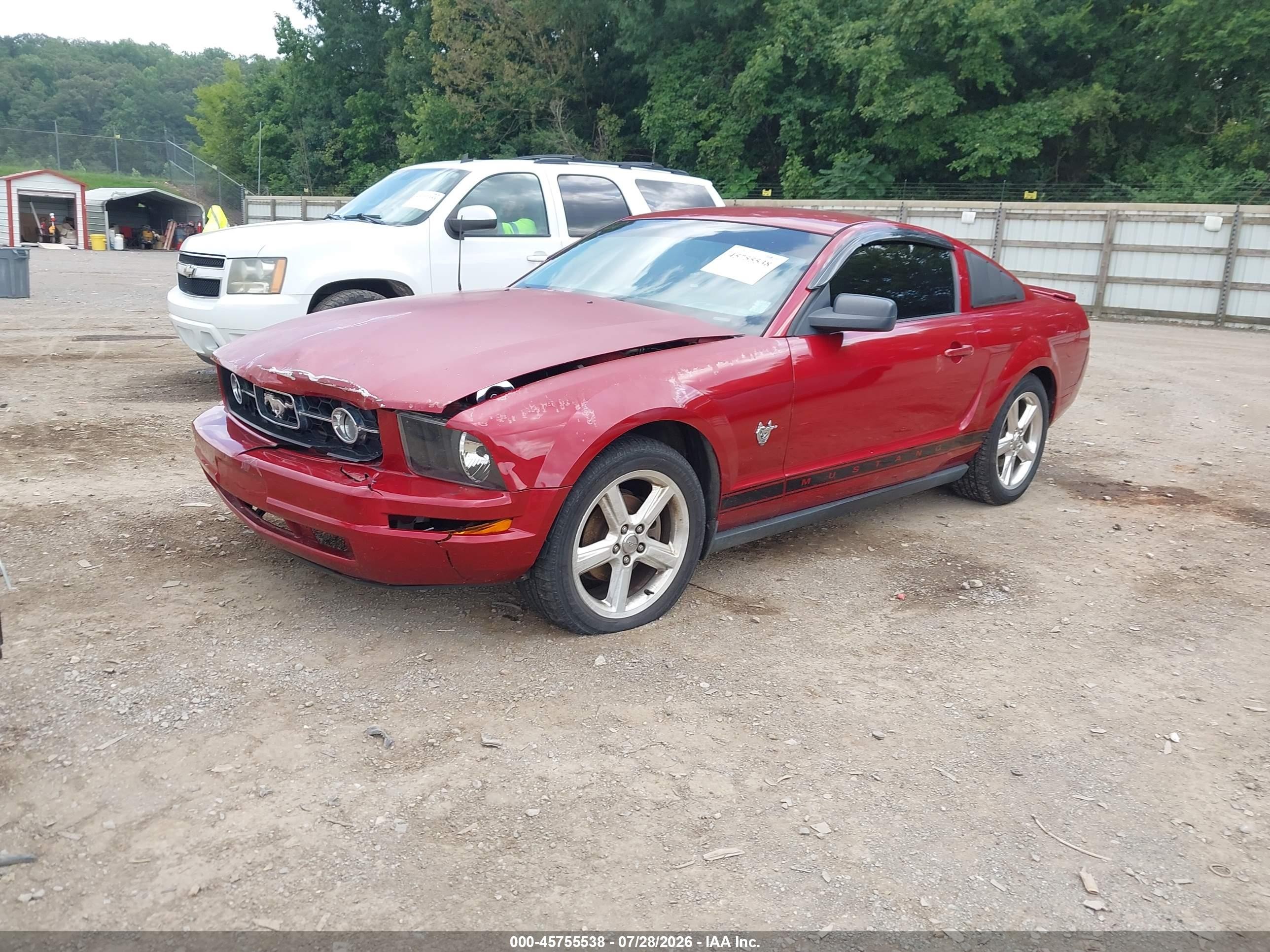 2009 Ford Mustang V6/v6 Premium Red vin: 1ZVHT80N895124289