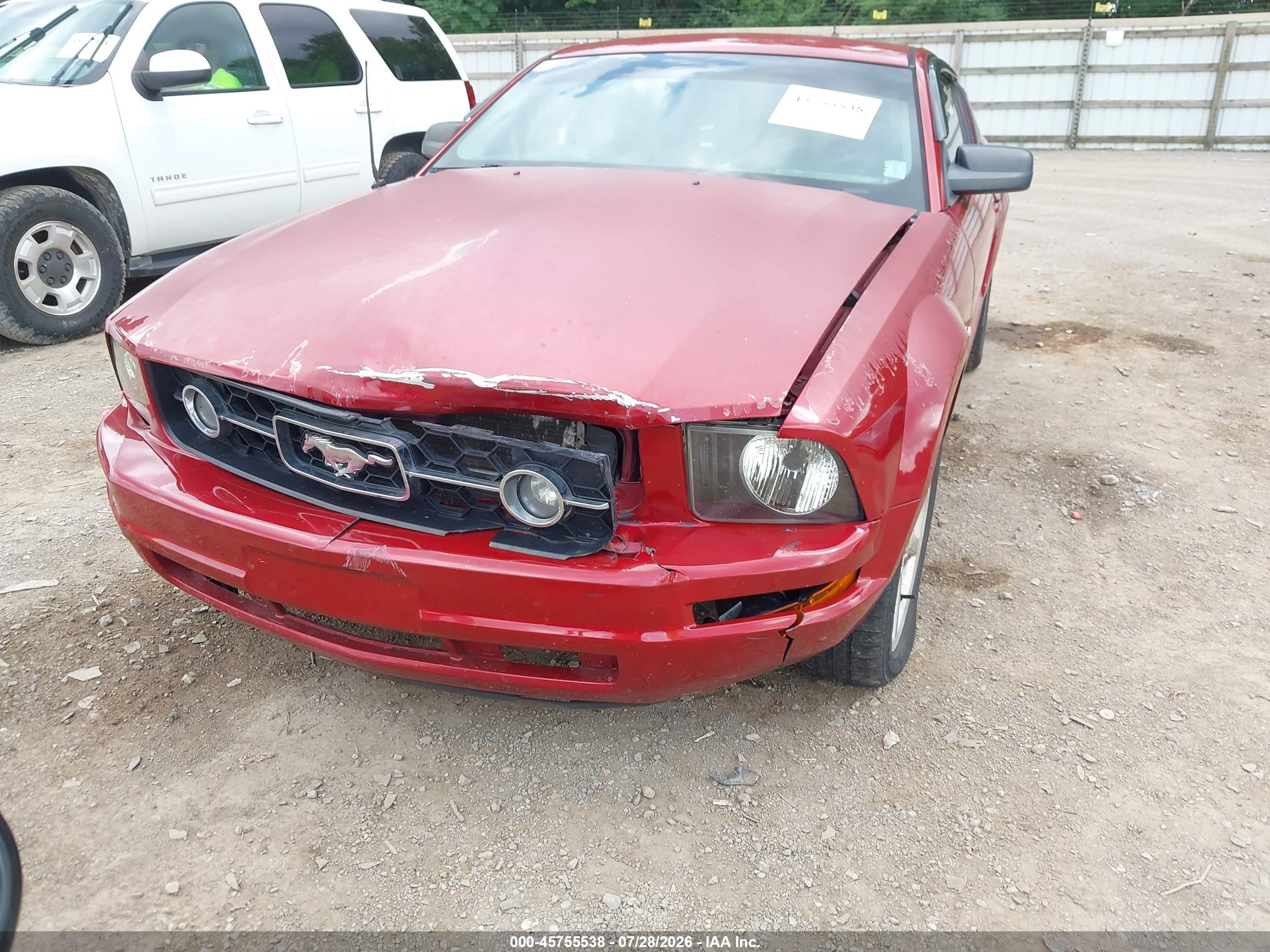 2009 Ford Mustang V6/v6 Premium Red vin: 1ZVHT80N895124289