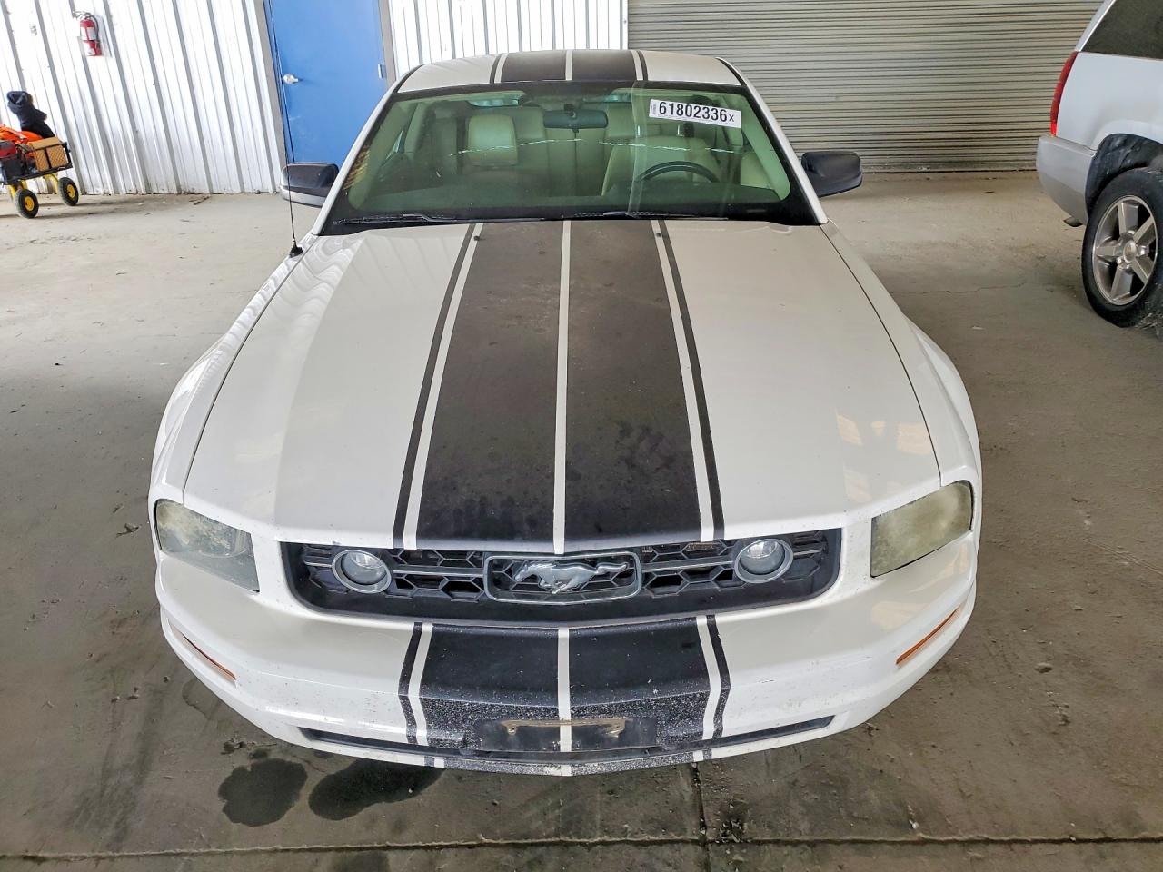 2006 Ford Mustang White vin: 1ZVHT80N965150119