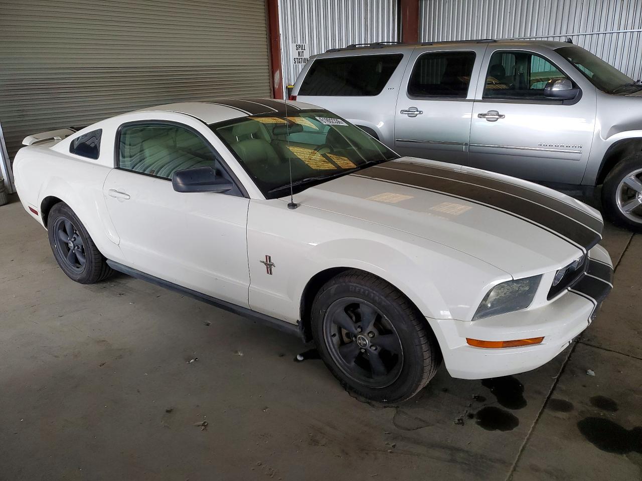 2006 Ford Mustang White vin: 1ZVHT80N965150119
