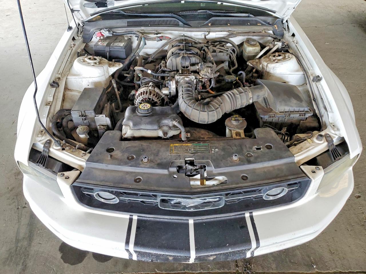 2006 Ford Mustang White vin: 1ZVHT80N965150119