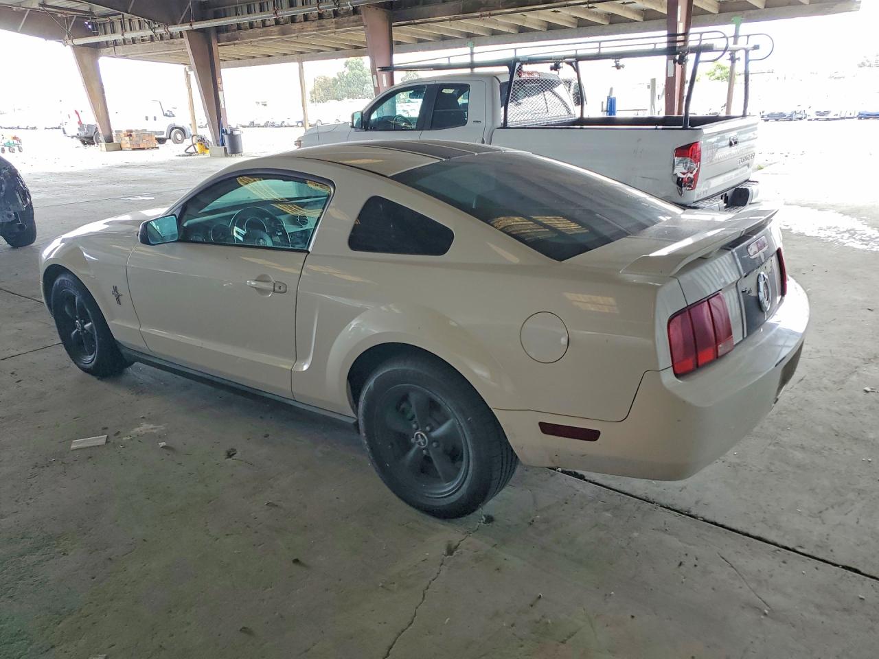 2006 Ford Mustang White vin: 1ZVHT80N965150119