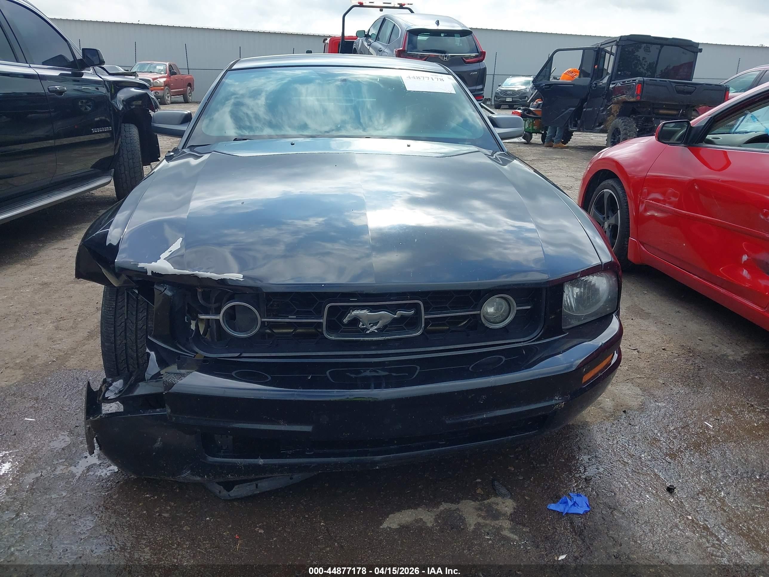 2007 Ford Mustang V6 Deluxe/v6 Premium Black vin: 1ZVHT80N975325129
