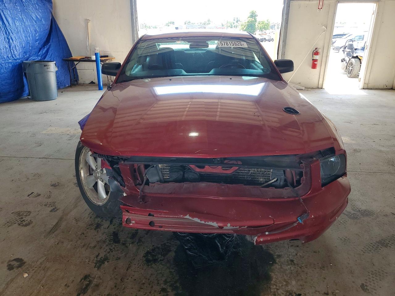 2007 Ford Mustang Red vin: 1ZVHT80N975362861