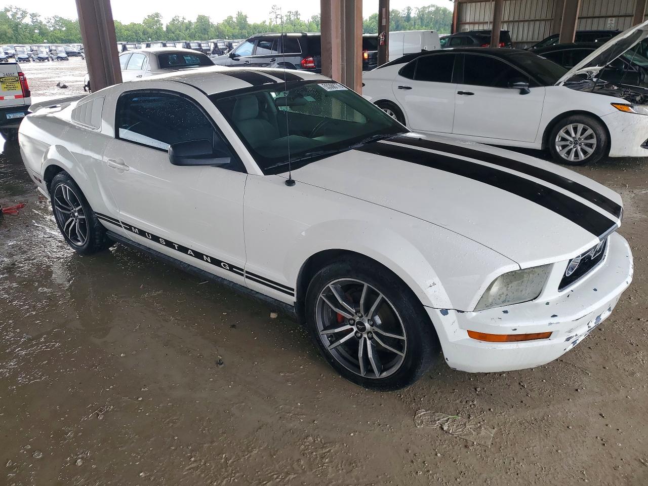 2008 Ford Mustang White vin: 1ZVHT80N985115437
