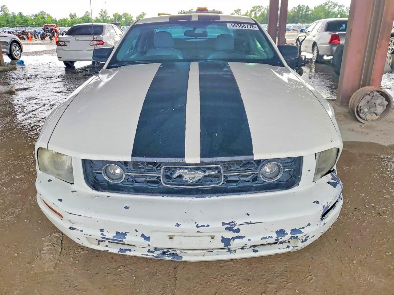 2008 Ford Mustang White vin: 1ZVHT80N985115437