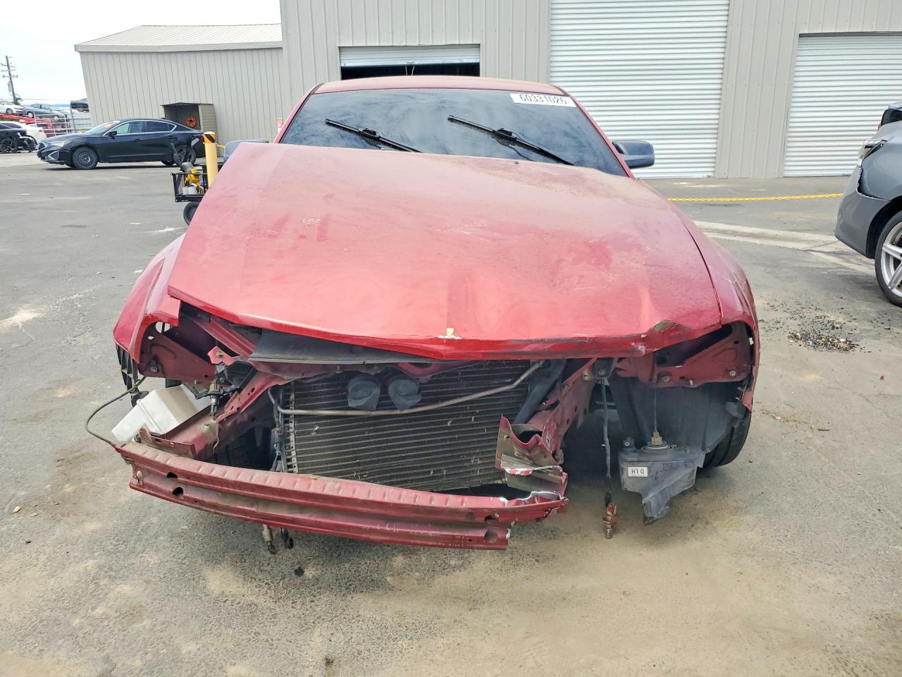 2008 Ford Mustang Red vin: 1ZVHT80N985116913