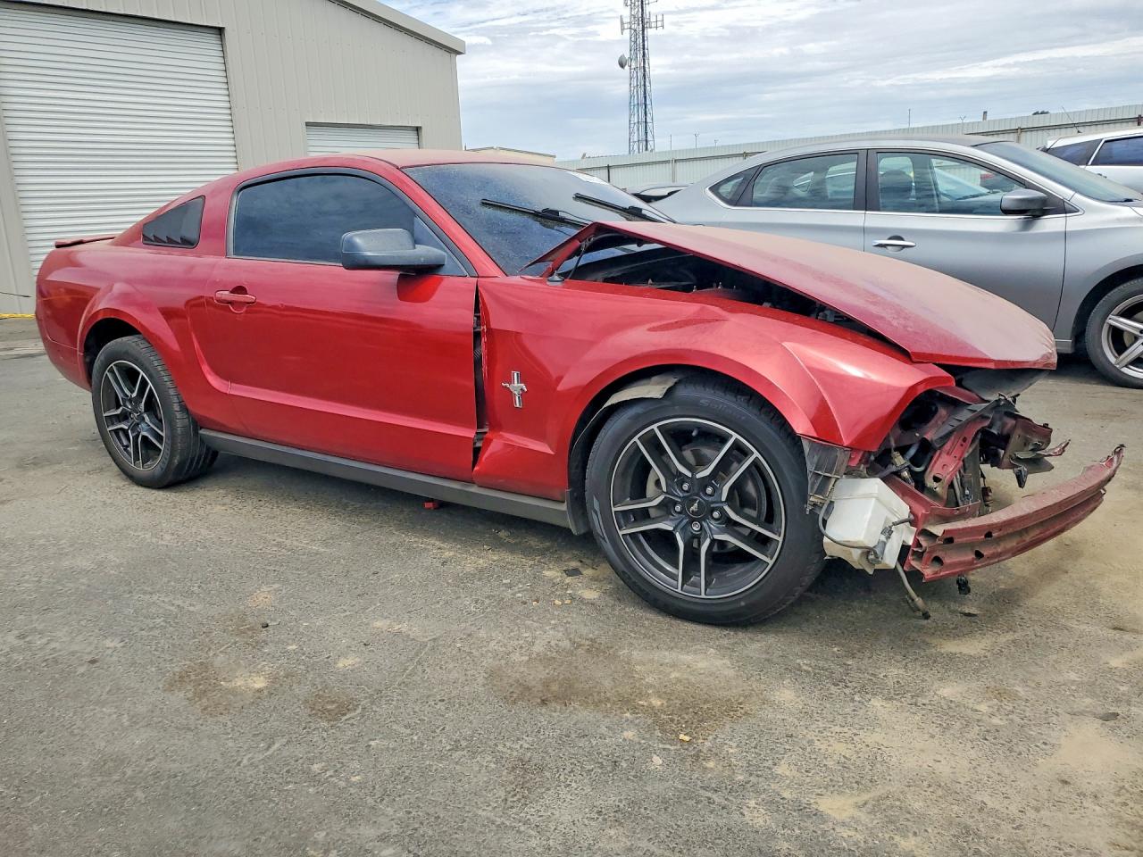 2008 Ford Mustang Red vin: 1ZVHT80N985116913