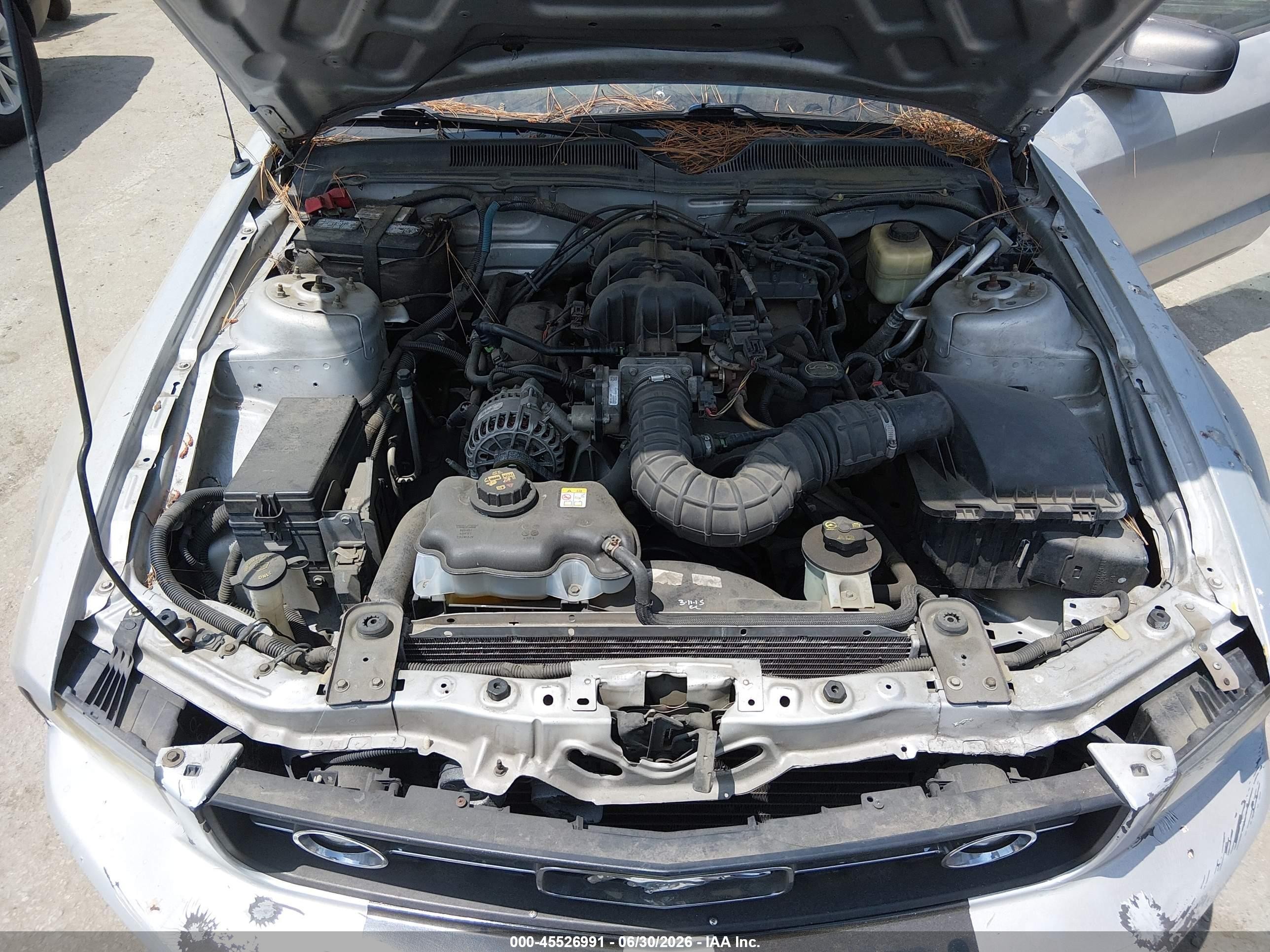 2008 Ford Mustang V6 Deluxe/v6 Premium Gray vin: 1ZVHT80N985121240