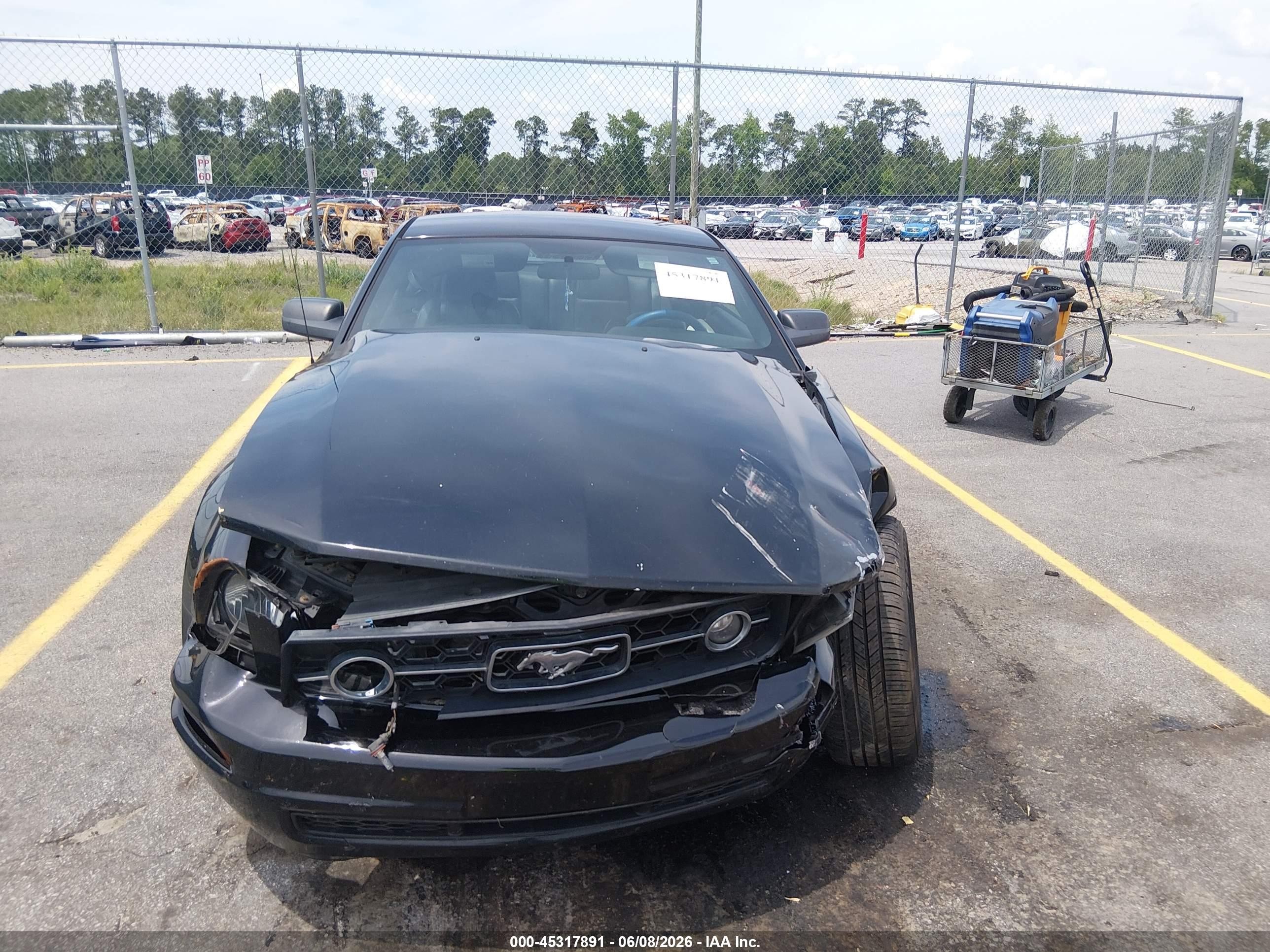 2008 Ford Mustang V6 Deluxe/v6 Premium Black vin: 1ZVHT80N985132190