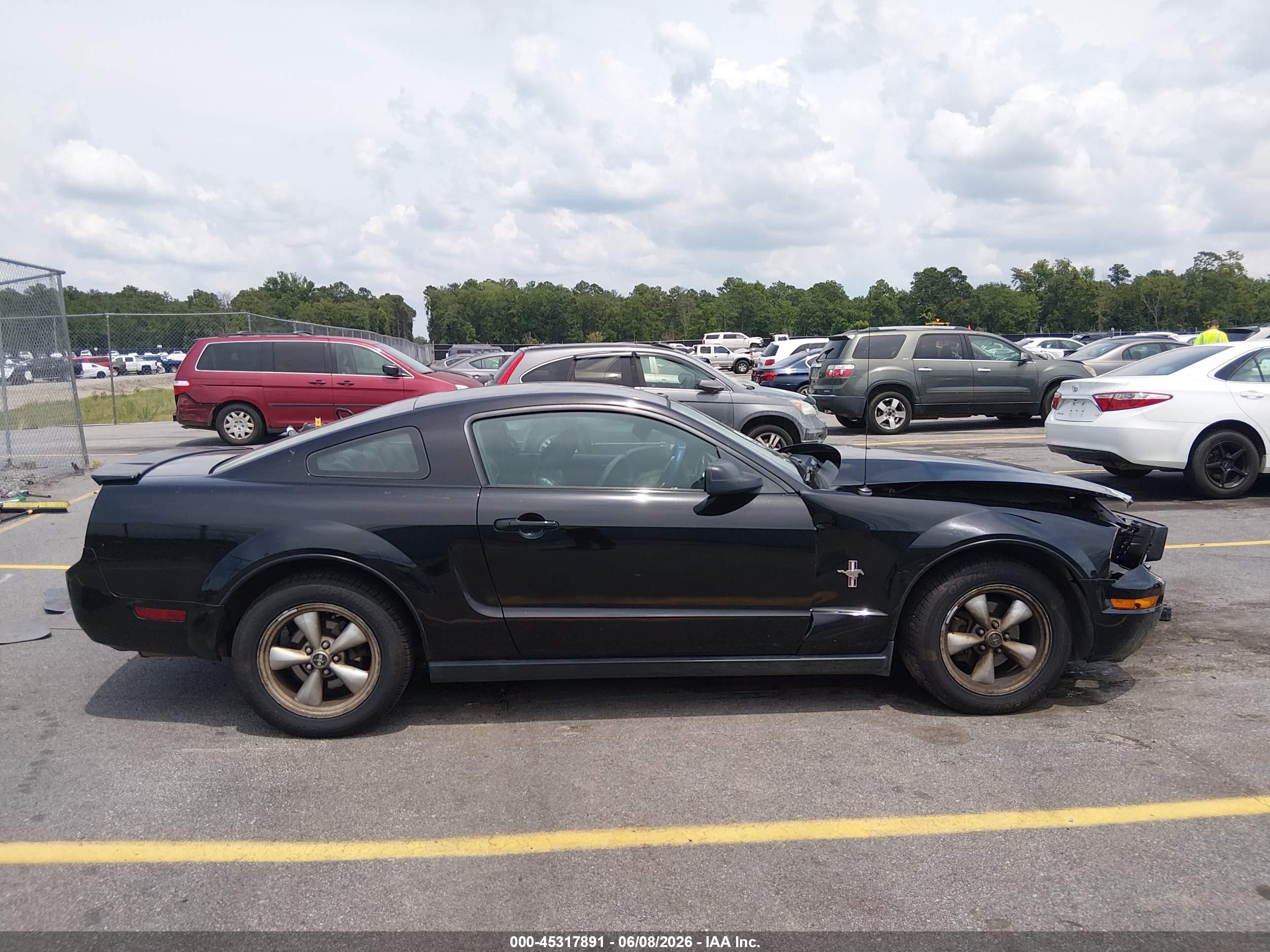 2008 Ford Mustang V6 Deluxe/v6 Premium Black vin: 1ZVHT80N985132190