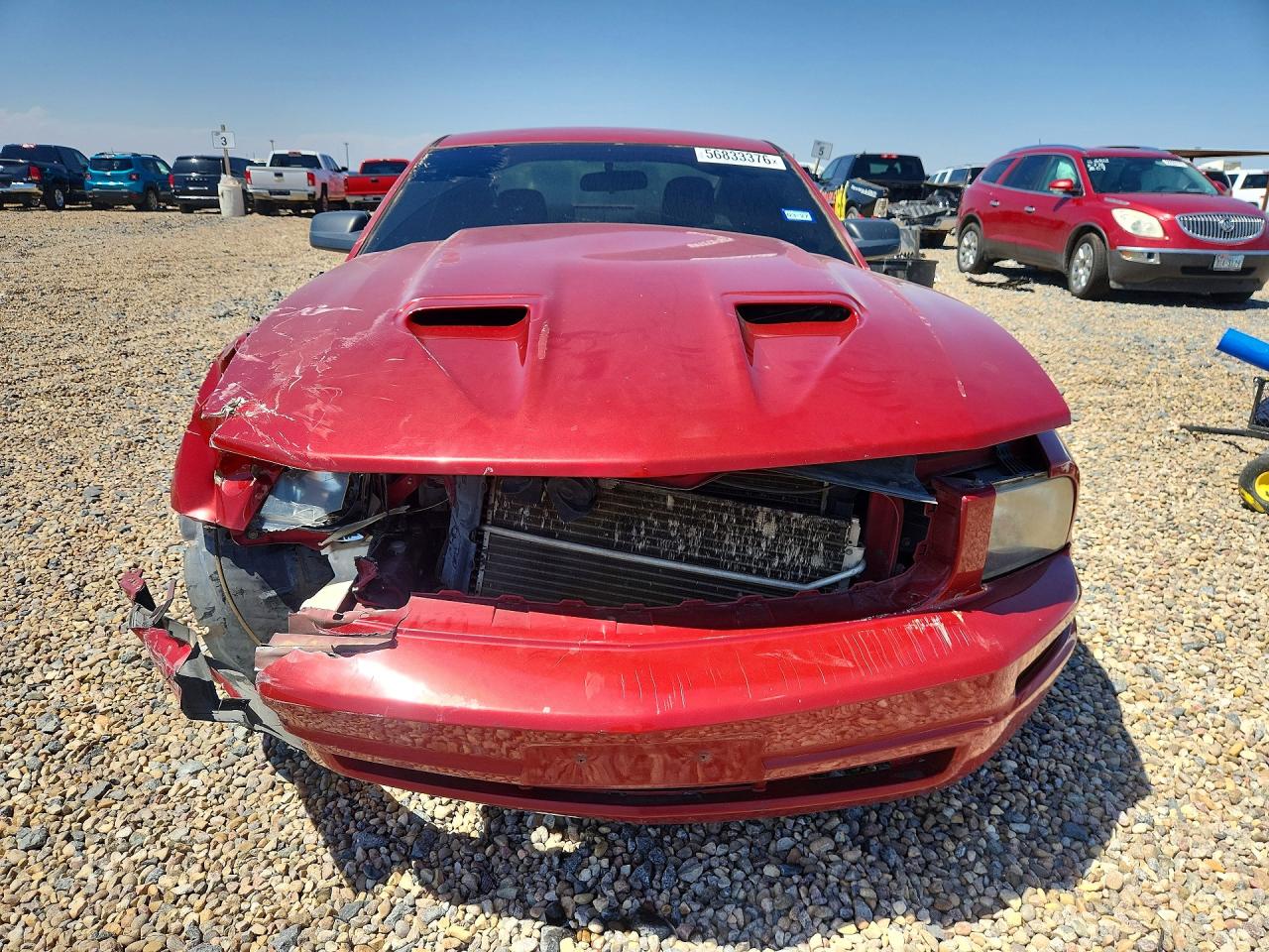 2008 Ford Mustang Красный vin: 1ZVHT80N985132979