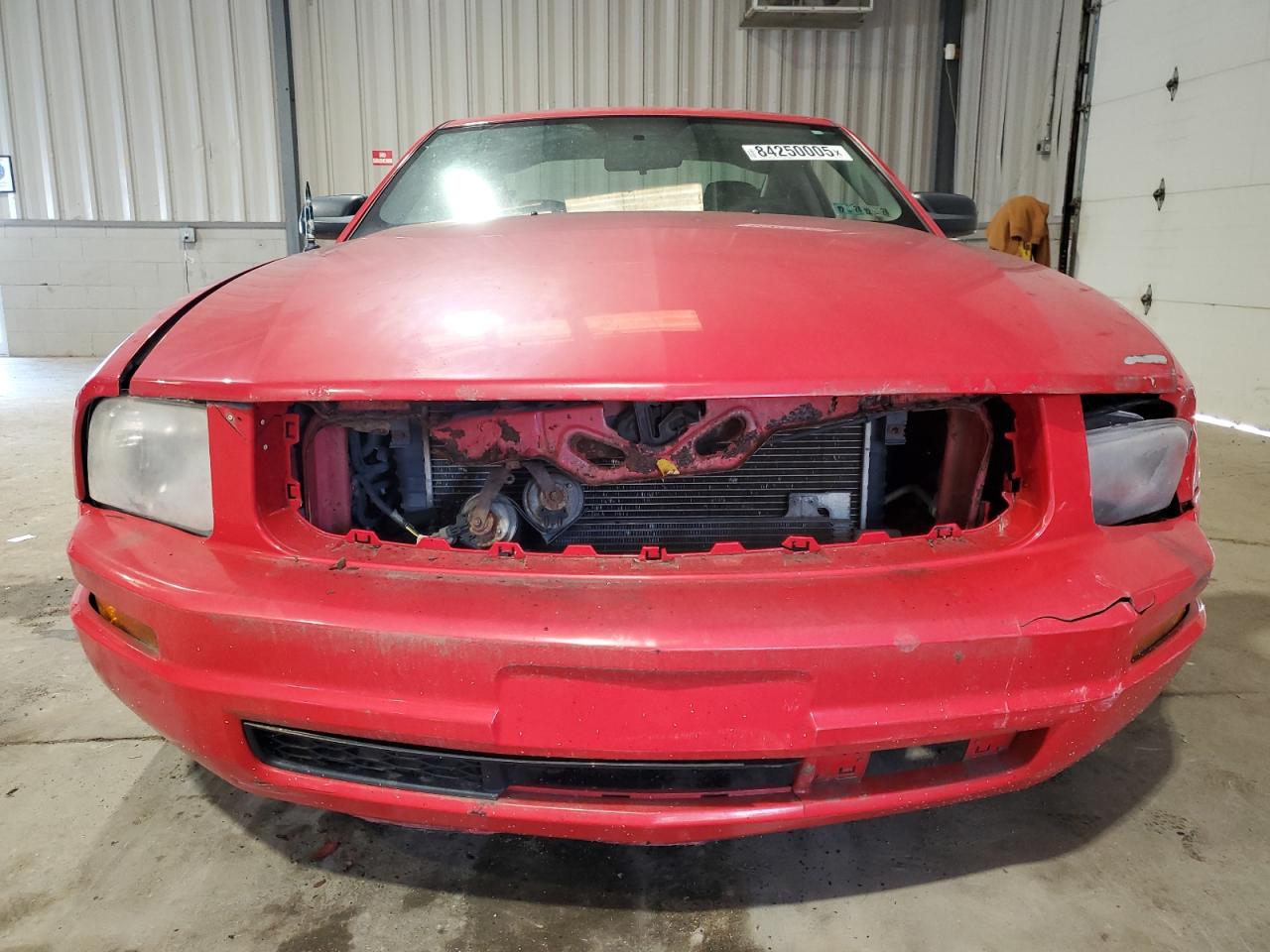2009 Ford Mustang Red vin: 1ZVHT80N995121689
