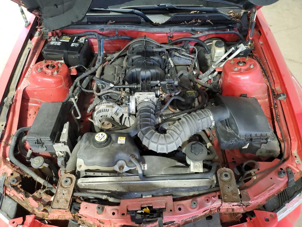 2009 Ford Mustang Red vin: 1ZVHT80N995121689