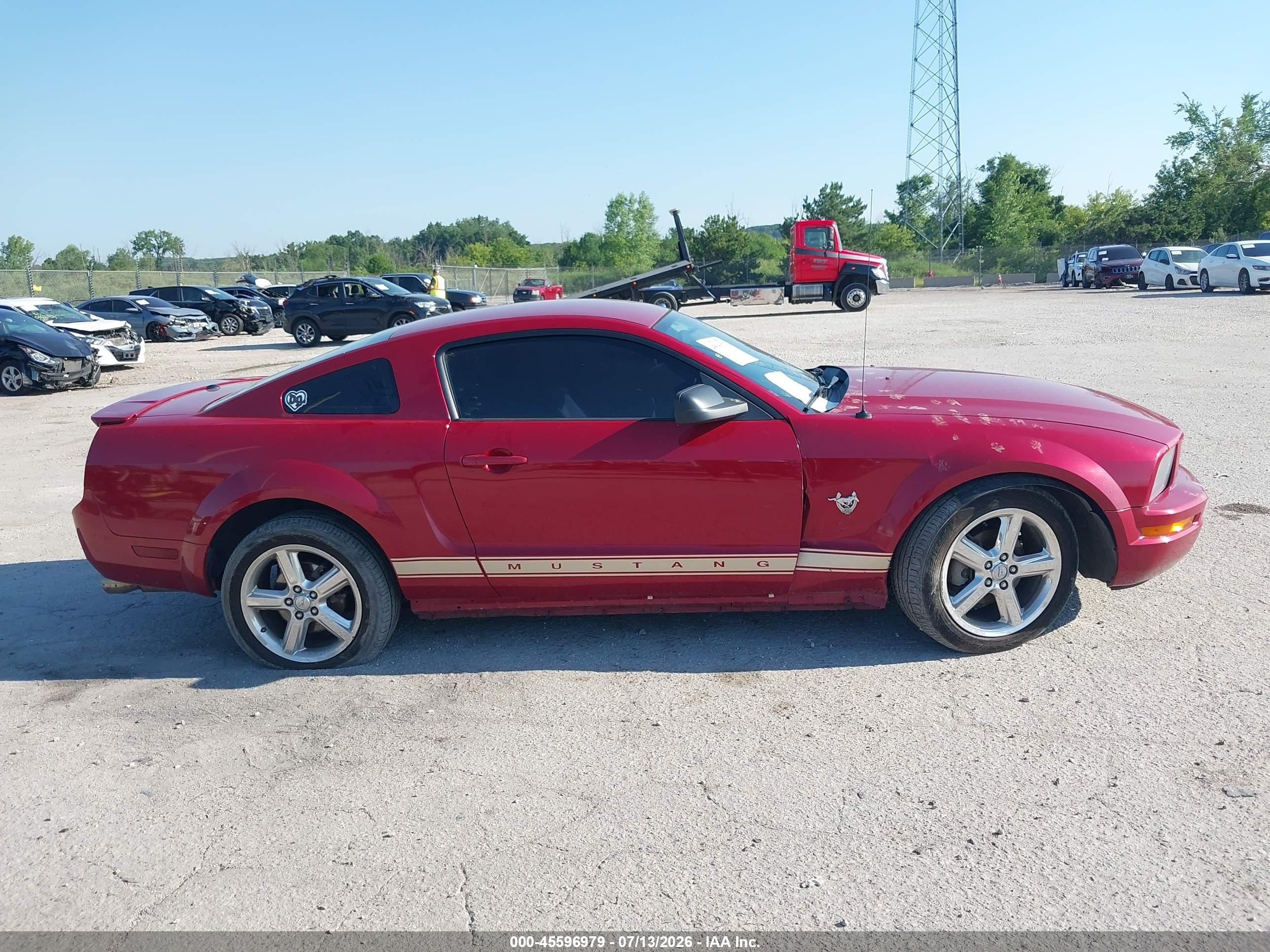 2009 Ford Mustang V6/v6 Premium Red vin: 1ZVHT80N995128206