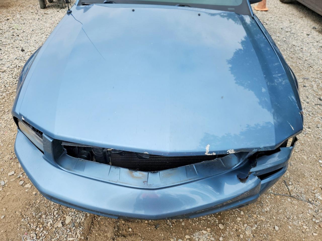 2006 Ford Mustang Blue vin: 1ZVHT80NX65191570