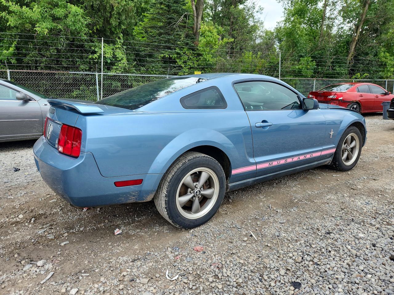 2006 Ford Mustang Blue vin: 1ZVHT80NX65191570