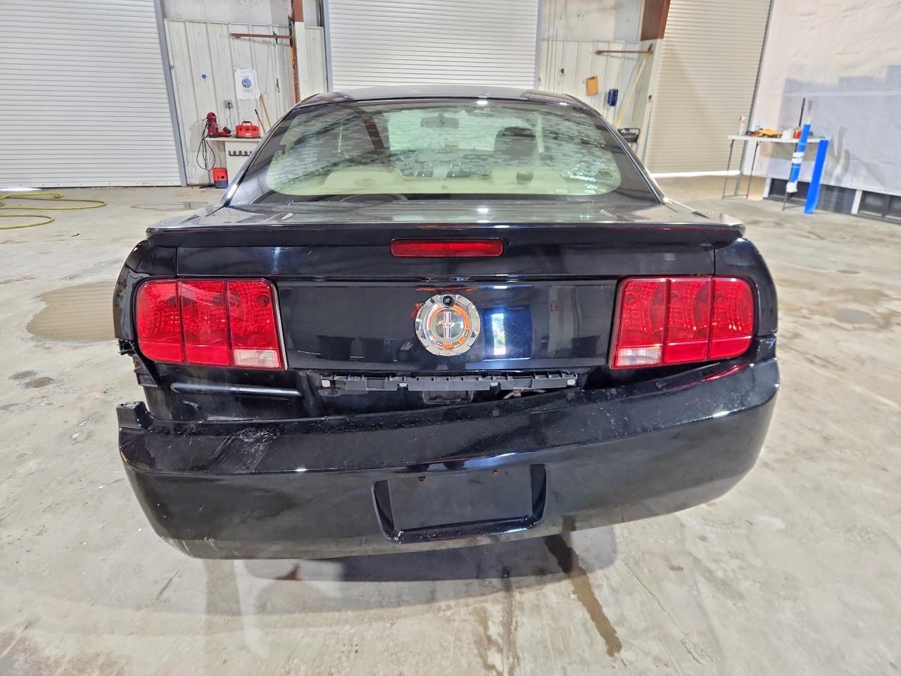 2007 Ford Mustang Black vin: 1ZVHT80NX75291234