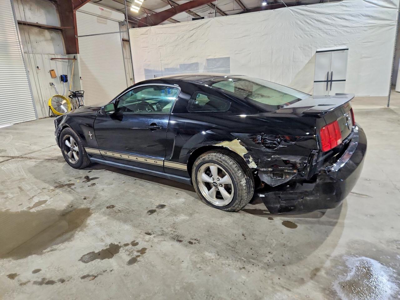 2007 Ford Mustang Black vin: 1ZVHT80NX75291234
