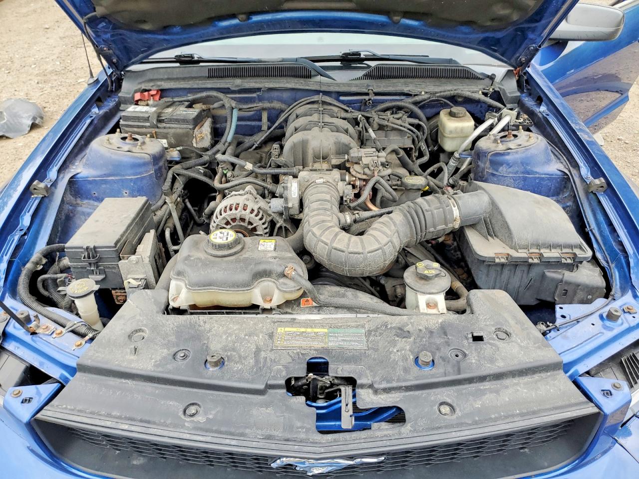 2008 Ford Mustang Blue vin: 1ZVHT80NX85114748