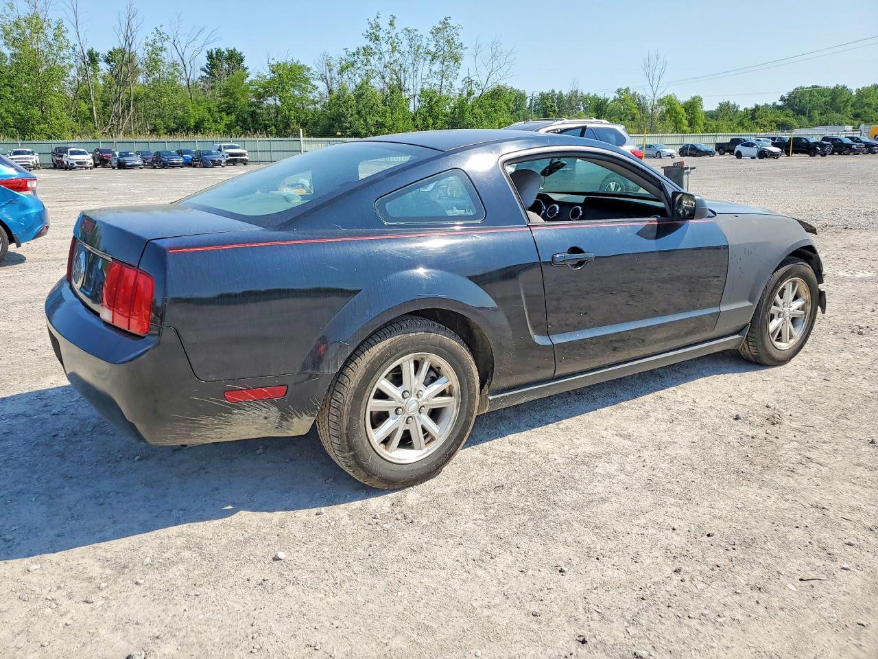 2008 Ford Mustang Black vin: 1ZVHT80NX85136149