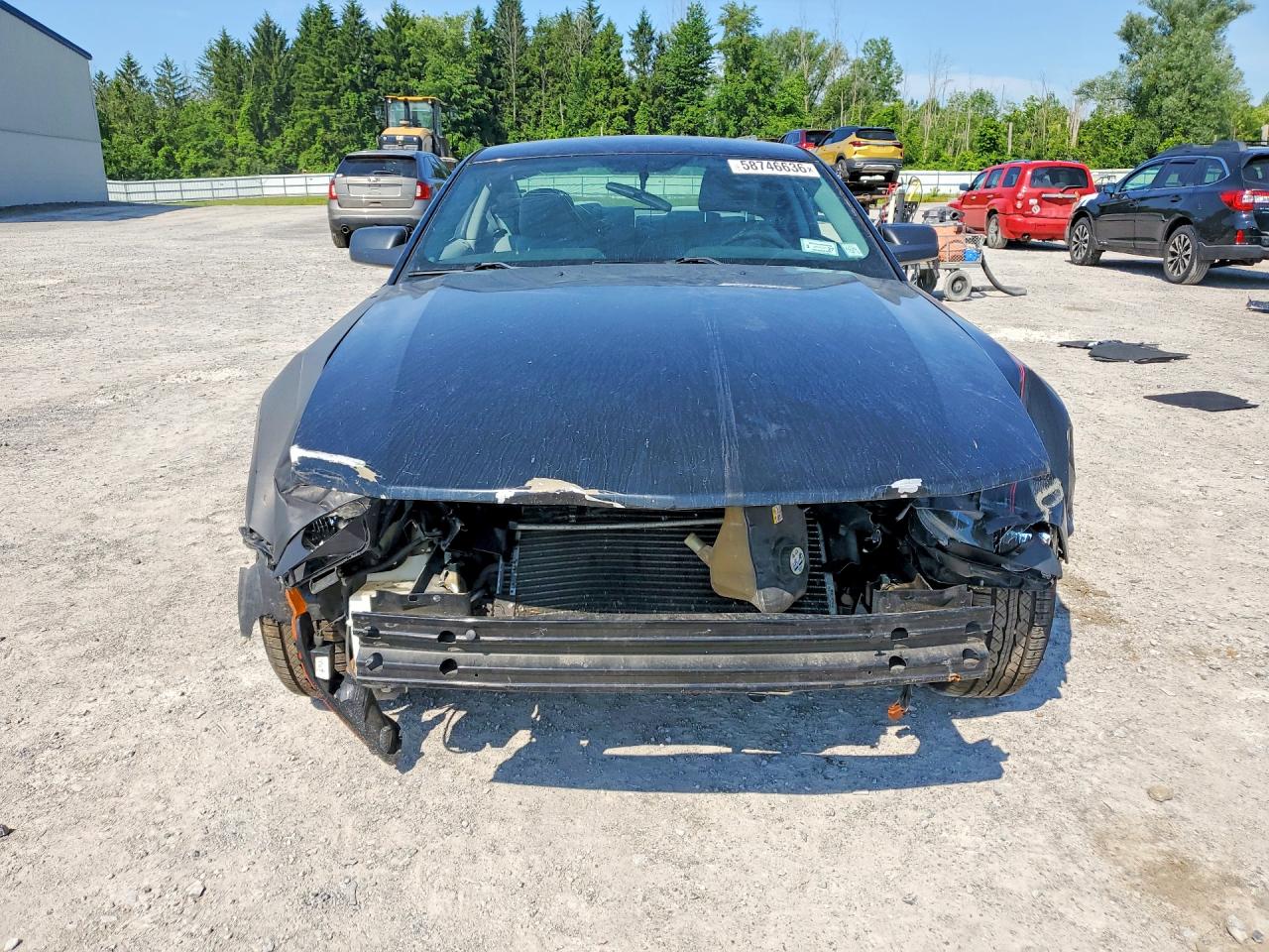 2008 Ford Mustang Black vin: 1ZVHT80NX85136149