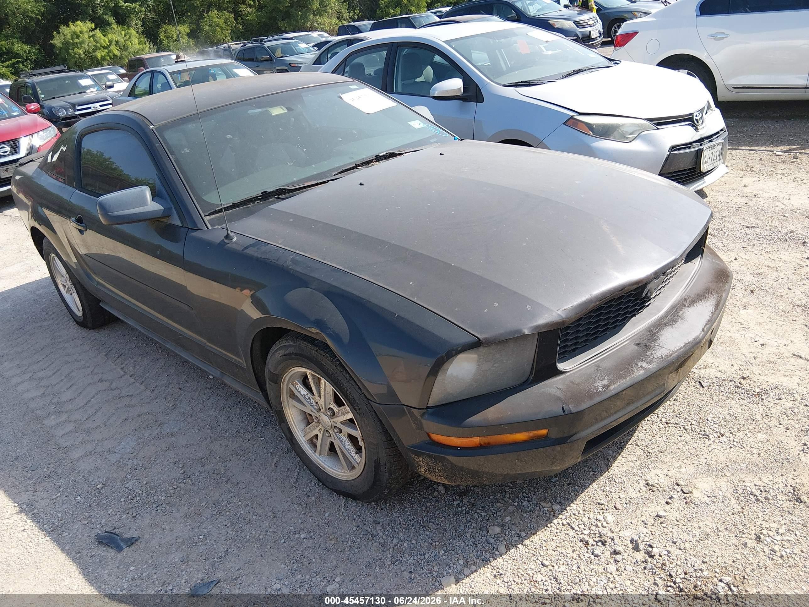 1ZVHT80NX85174979