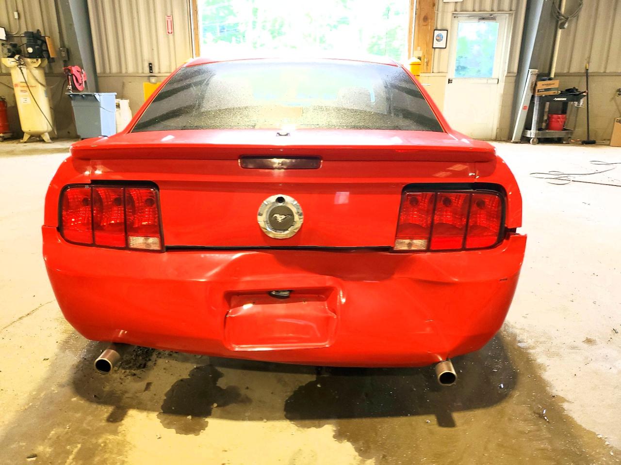 2008 Ford Mustang Red vin: 1ZVHT80NX85190275