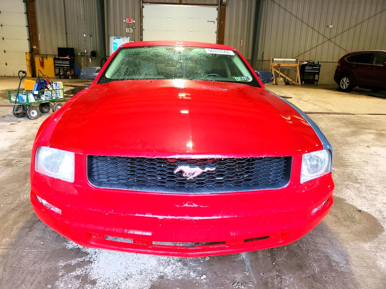 2008 Ford Mustang Red vin: 1ZVHT80NX85190275