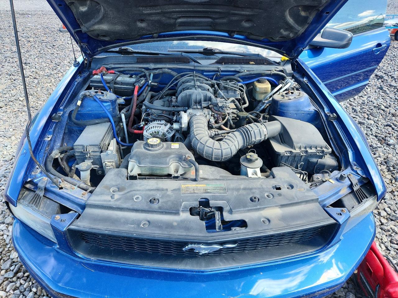 2008 Ford Mustang Blue vin: 1ZVHT80NX85191071
