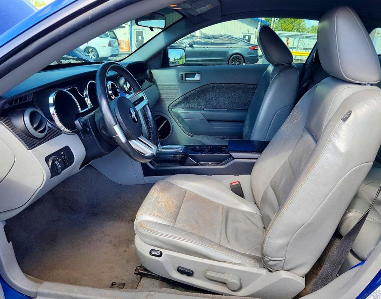 2008 Ford Mustang Blue vin: 1ZVHT80NX85191071