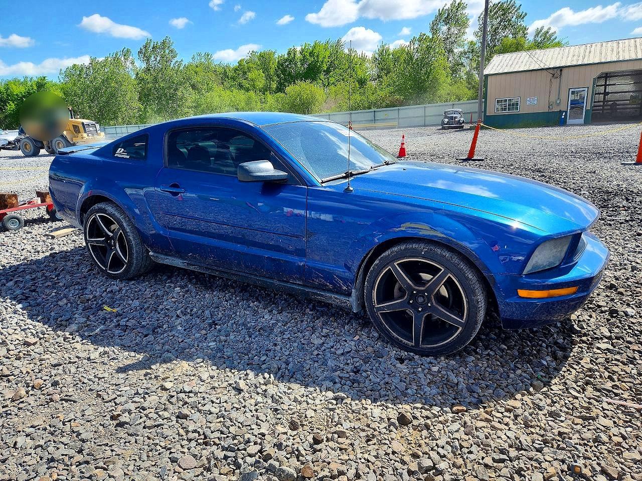 2008 Ford Mustang Blue vin: 1ZVHT80NX85191071