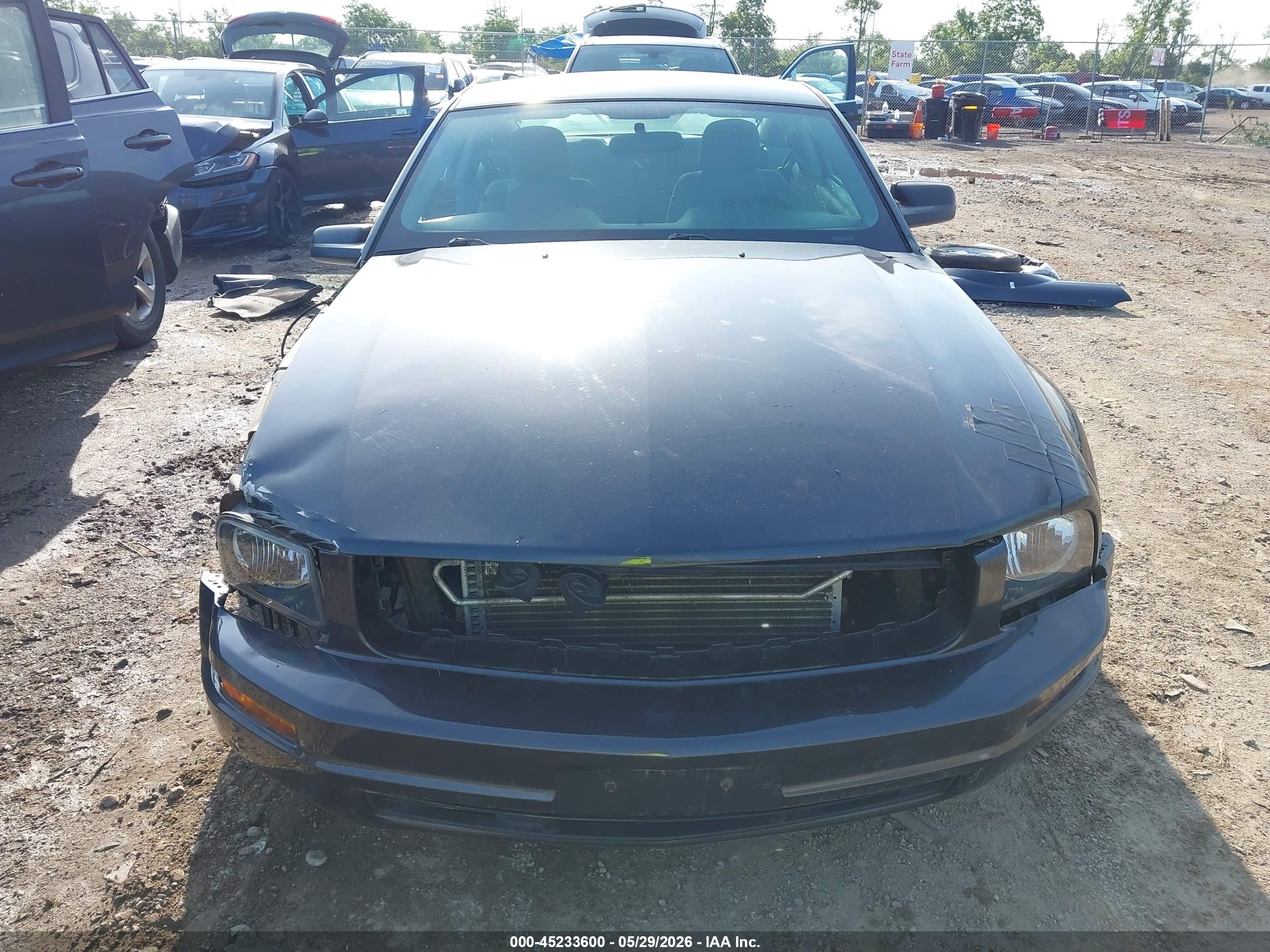 2009 Ford Mustang V6/v6 Premium Gray vin: 1ZVHT80NX95106442