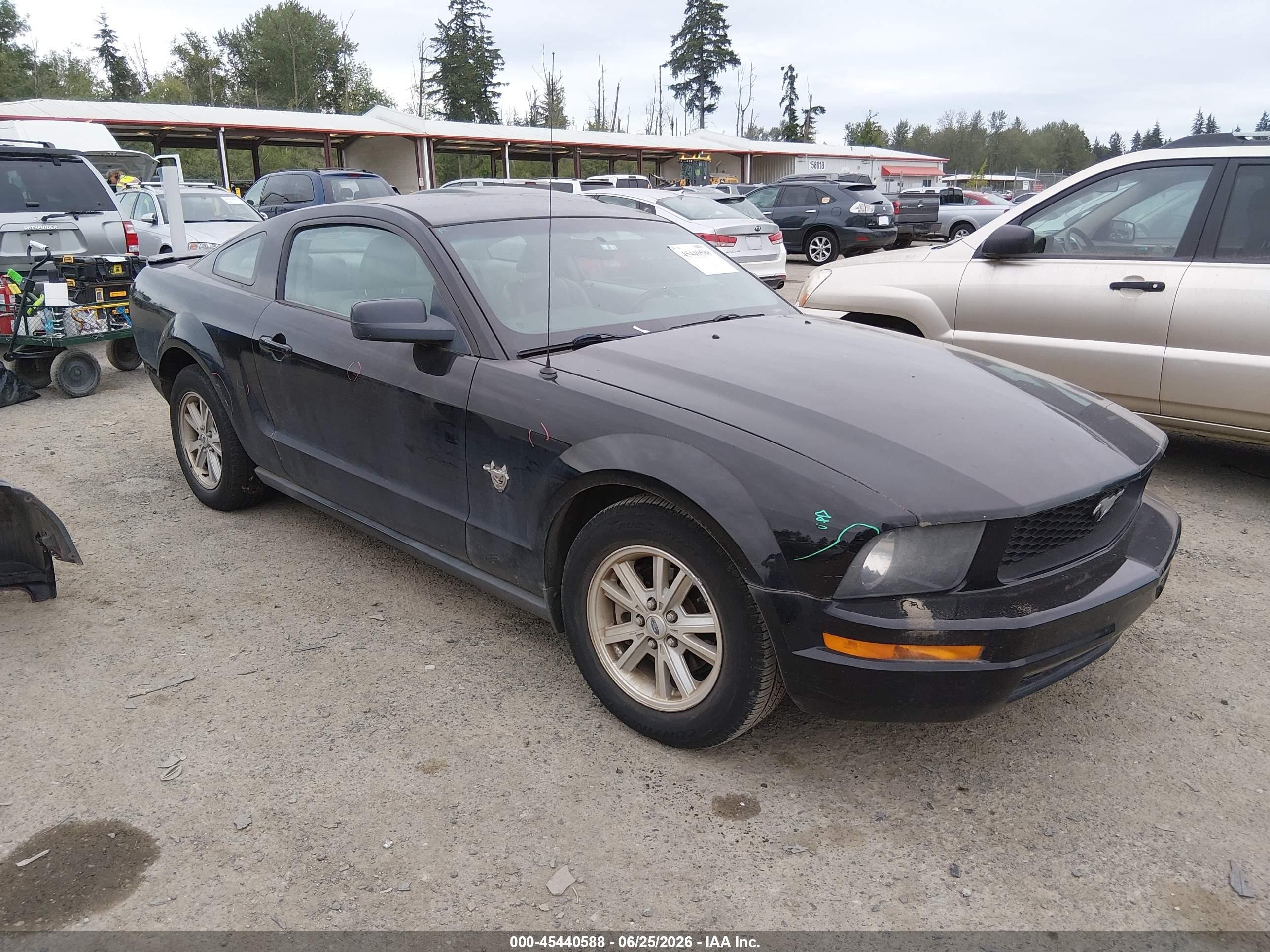 2009 Ford Mustang V6/v6 Premium Black vin: 1ZVHT80NX95114900