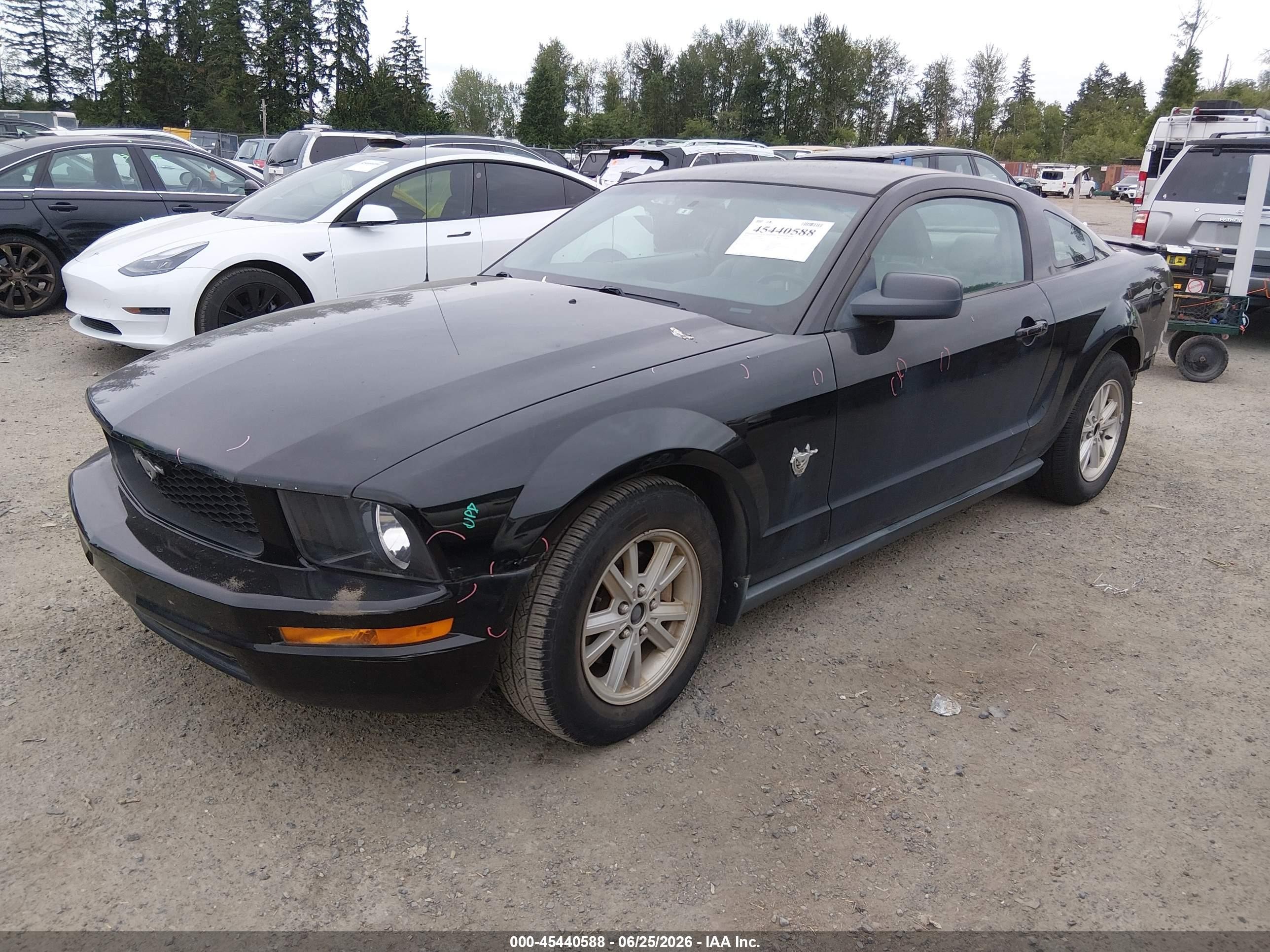 2009 Ford Mustang V6/v6 Premium Black vin: 1ZVHT80NX95114900