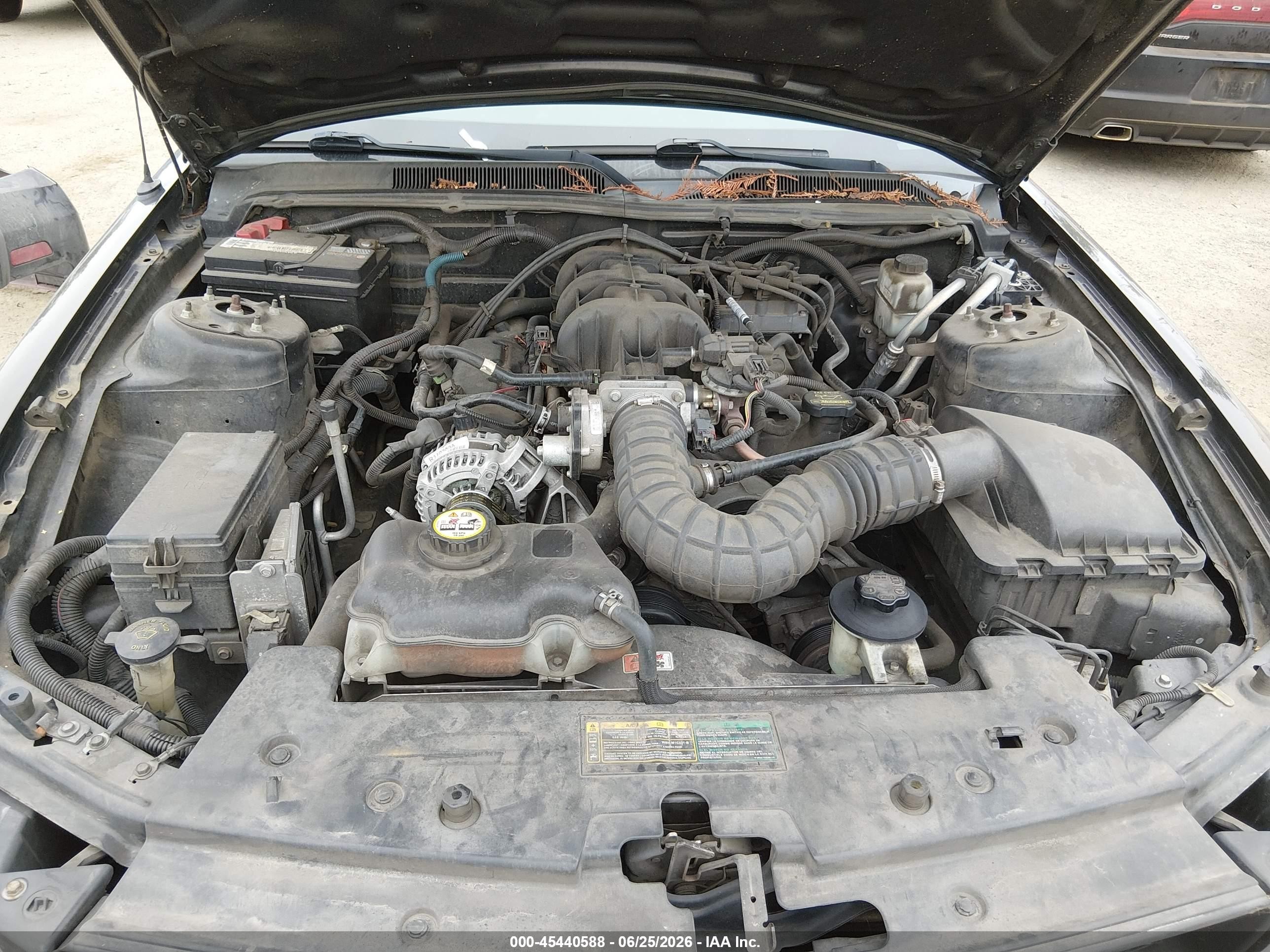 2009 Ford Mustang V6/v6 Premium Black vin: 1ZVHT80NX95114900