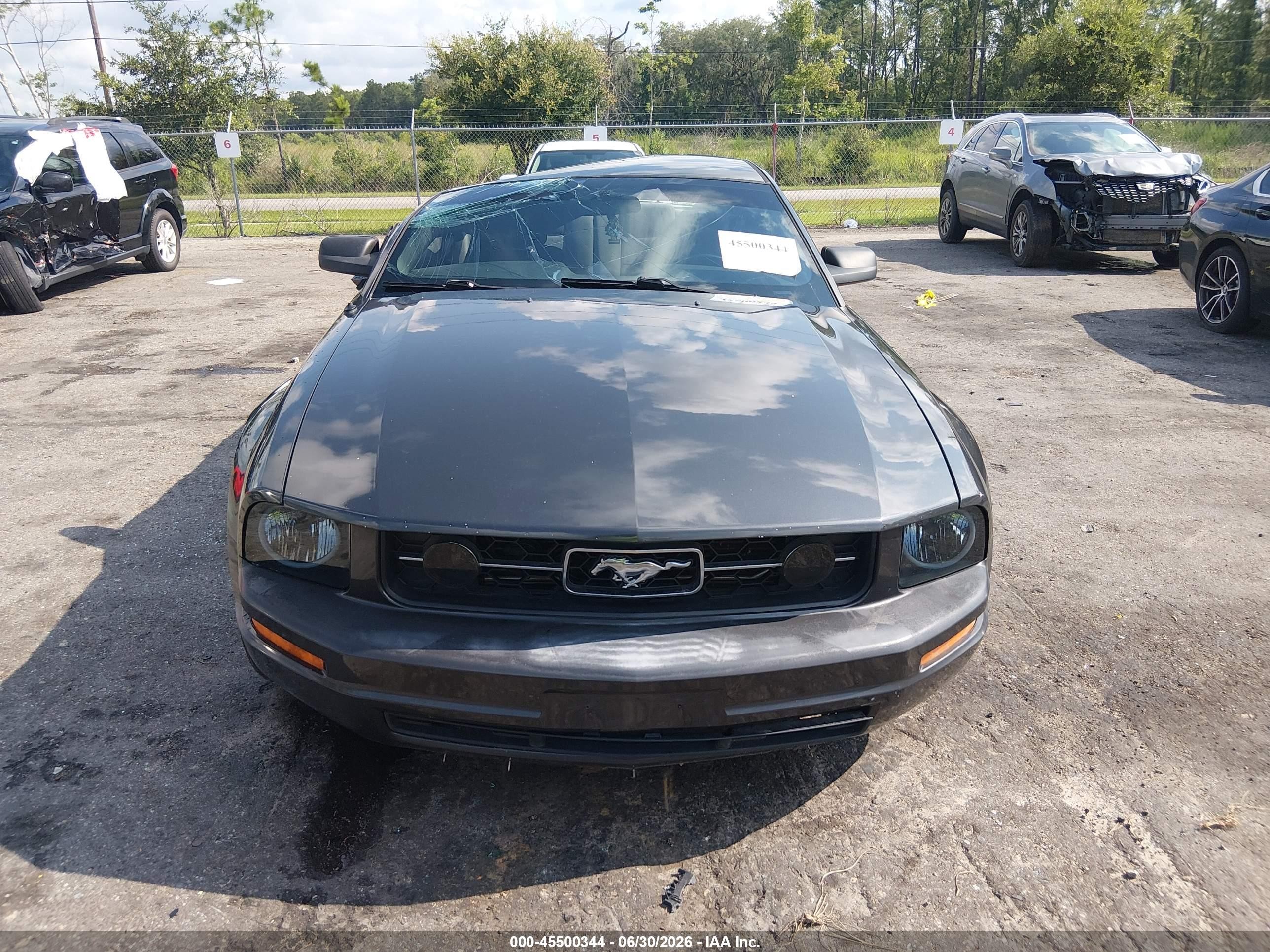 2009 Ford Mustang V6/v6 Premium Gray vin: 1ZVHT80NX95119126