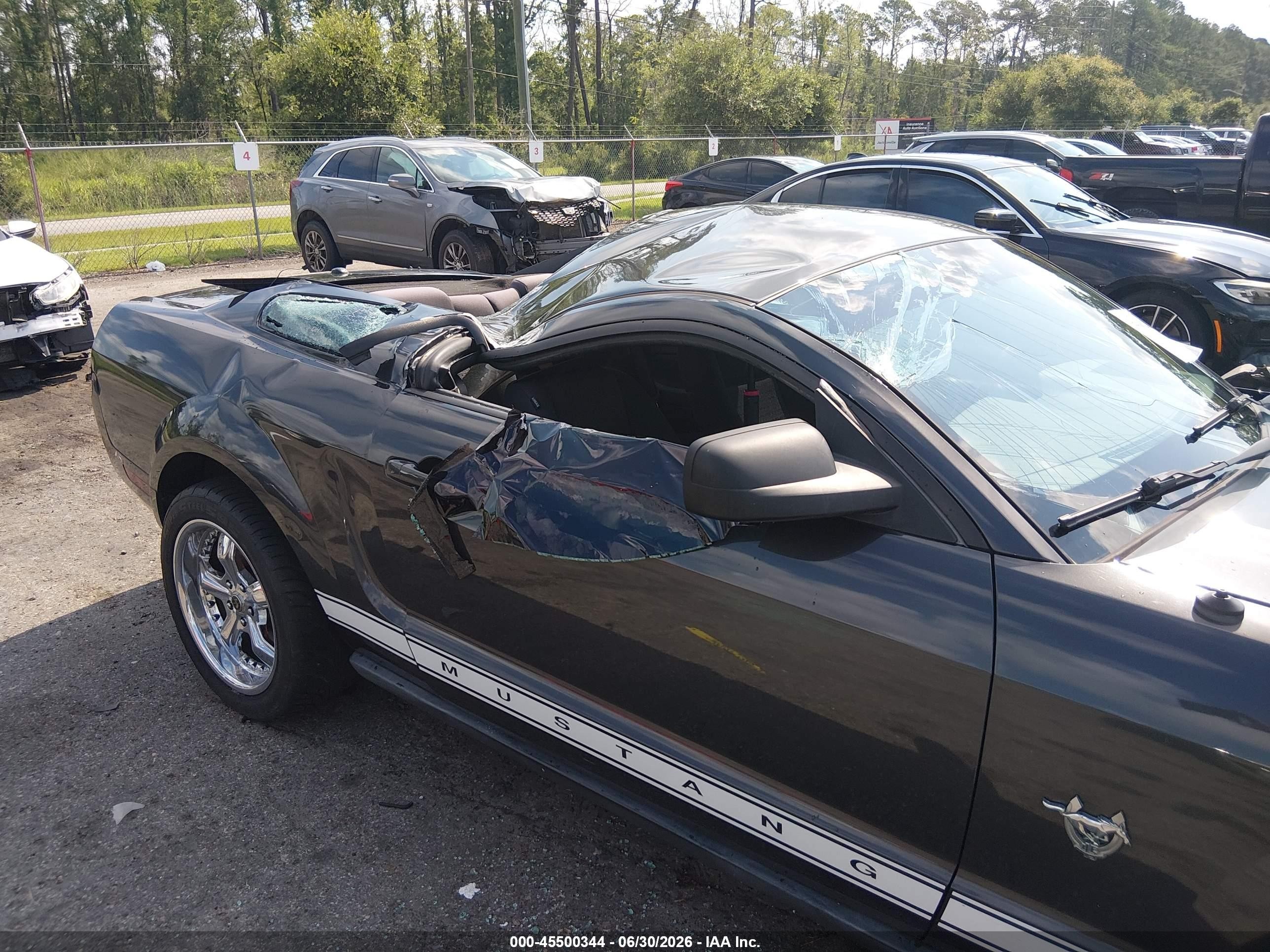 2009 Ford Mustang V6/v6 Premium Gray vin: 1ZVHT80NX95119126