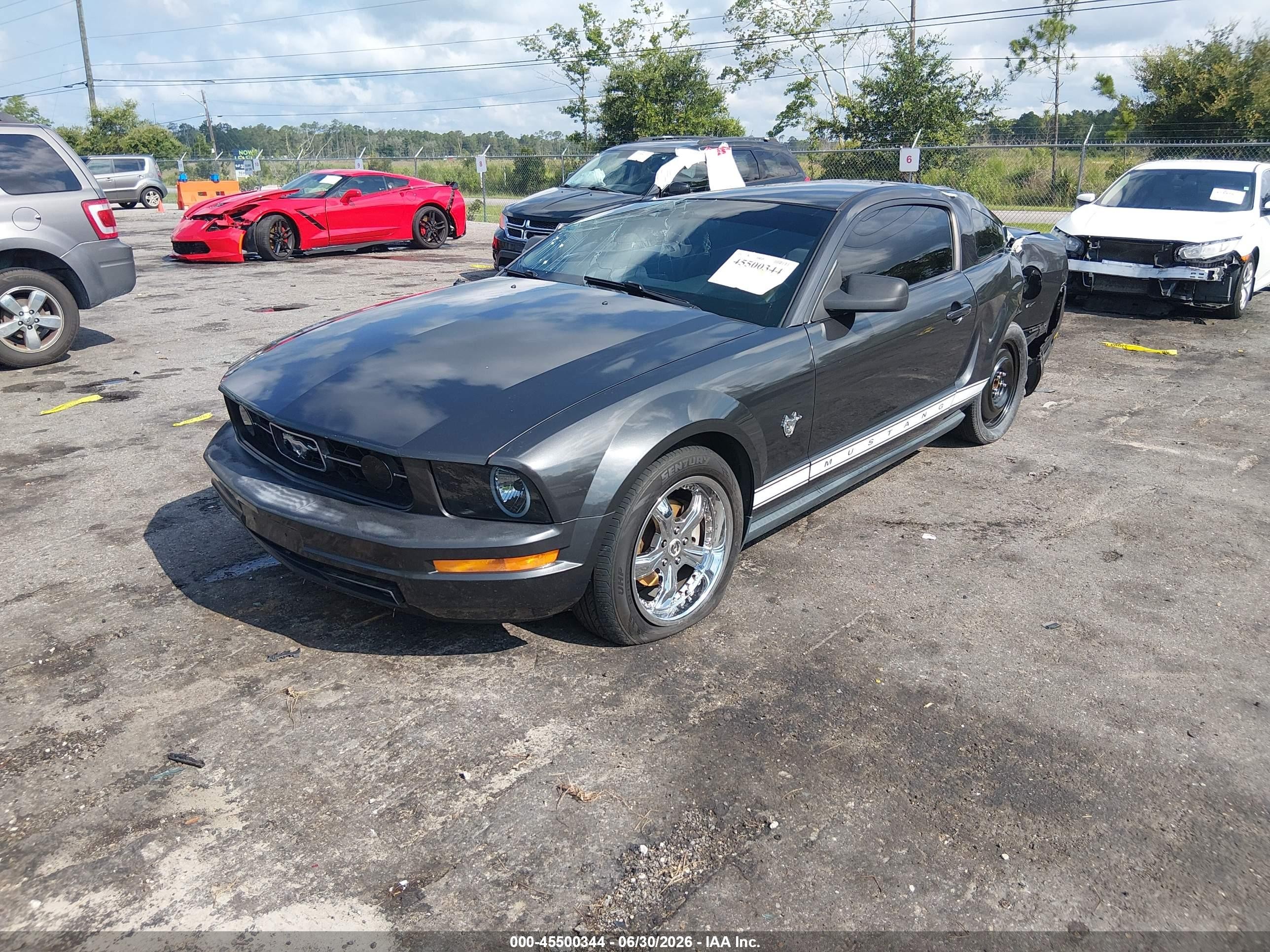 2009 Ford Mustang V6/v6 Premium Gray vin: 1ZVHT80NX95119126